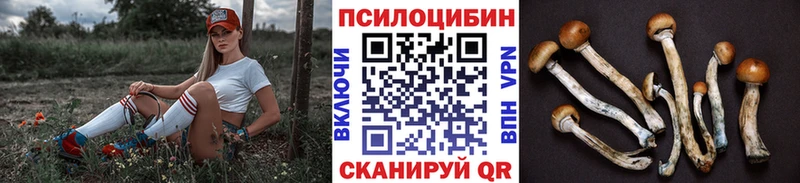Псилоцибиновые грибы Cubensis  Купить где  Сольвычегодск 